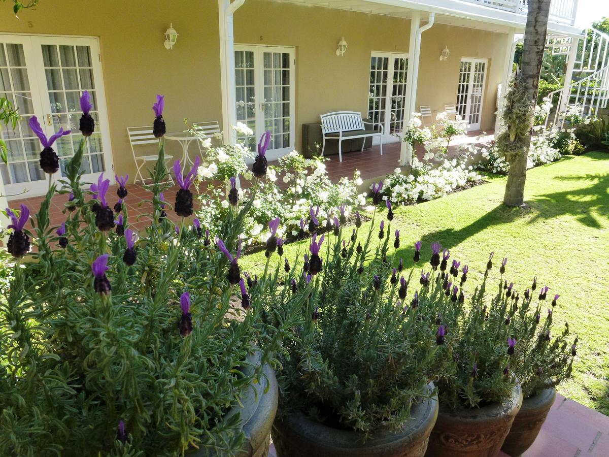 @Yamkela Guest House Oudtshoorn Eksteriør billede